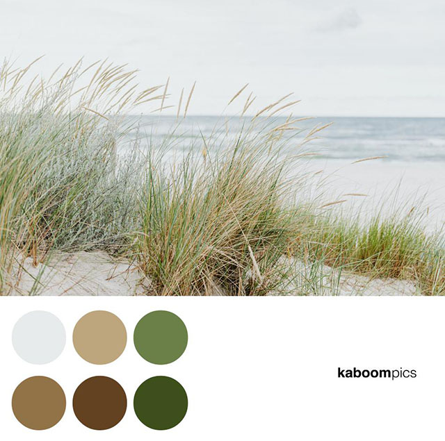 color scheme kaboompics 2555